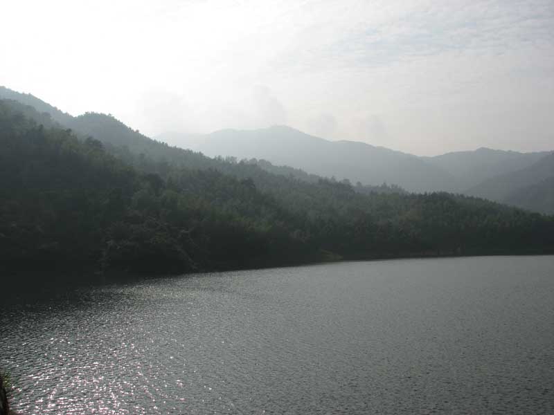 IMG_8413.jpg