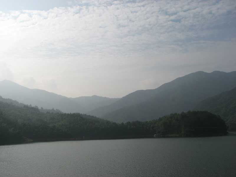 IMG_8412.jpg